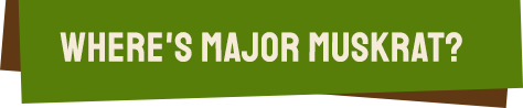 Where's Major Muskrat?